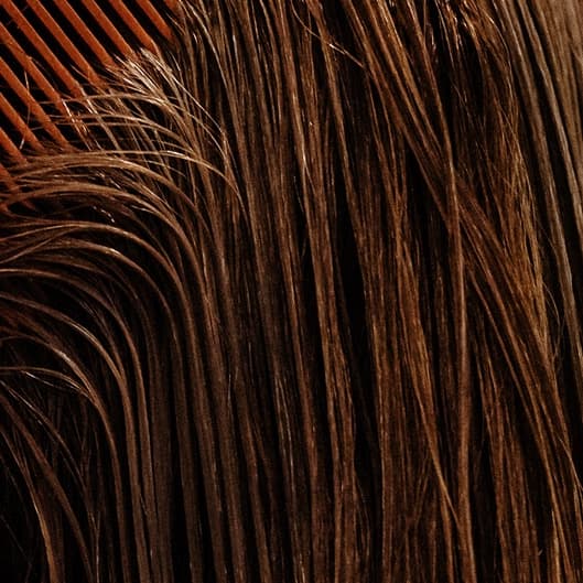 Brown Lash Membership at Flourish Beauty NY in Fishkill, NY