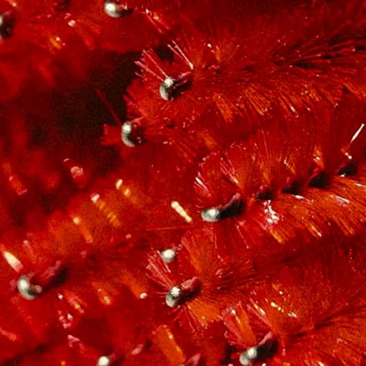 Classic Fill Buy 3 get one 50% at Flourish Beauty NY in Beacon, NY